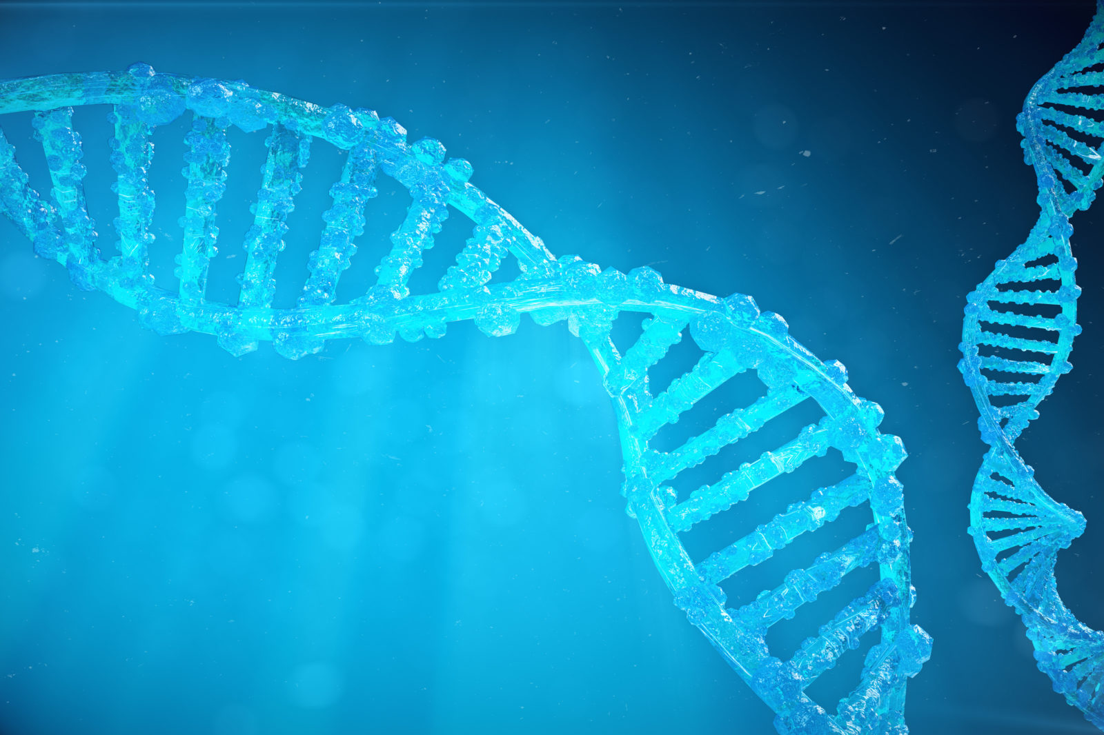 Gene Sequencing System Alignment And Integration - Optikos